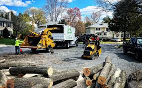 How Our Tree Care Process Works  in  Gosport, IN